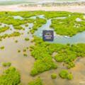 Sine Saloum