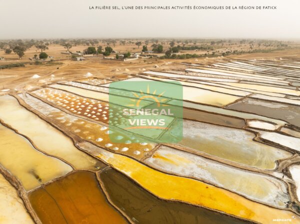Sel de Fatick - Image 2